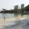 Descubra como chegar na praia das Flechas no Rio