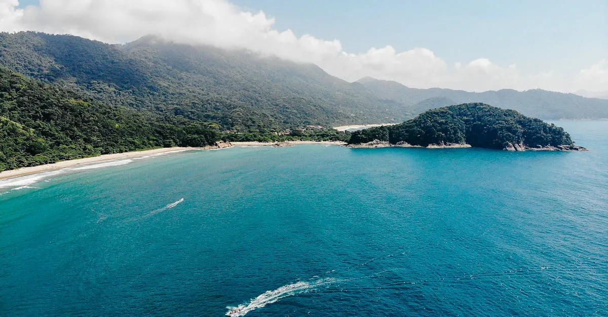 Como chegar na praia do Bananal: o paraíso escondido