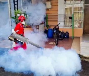 Descubra as Melhores Dedetizadoras no Rio de Janeiro