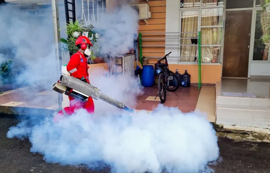 Descubra as Melhores Dedetizadoras no Rio de Janeiro