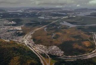 Descubra as Melhores Empresas de Consultoria Ambiental RJ
