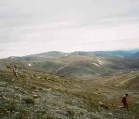 Desafie-se: Caminhada completa pela Trilha Transcarioca em um dia