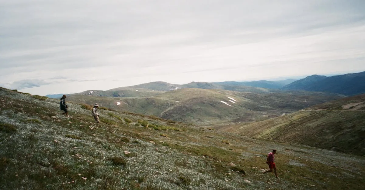 Desafie-se: Caminhada completa pela Trilha Transcarioca em um dia