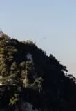 Descubra o Parque das Ruínas e jante com charme