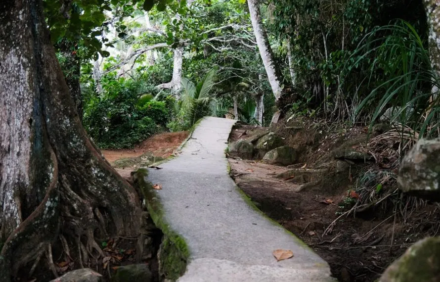 Descubra o Parque Nacional da Tijuca em 2 dias de trilhas
