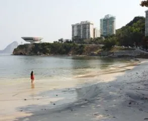 Roteiro imperdível de arte e gastronomia na Zona Sul